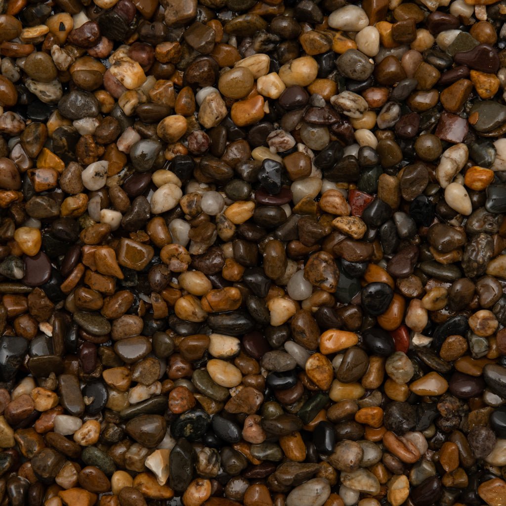 Brittany Bronze 25kg